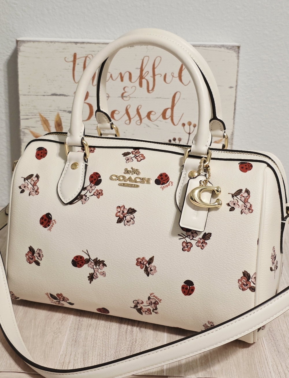 Coach RARE Rowan MEDIUM Crossbody Chalk Ladybug Floral + gold Coach C charm ๐๐ - Picture 3 of 16